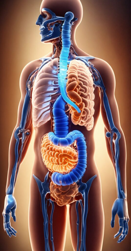 Tuberculosis Risk factors