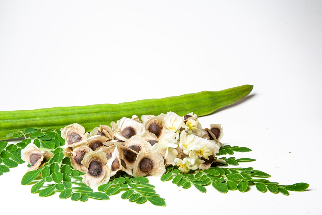 20 Potential Benefits of Moringa: A Natural Ally Against Disease Outbreaks