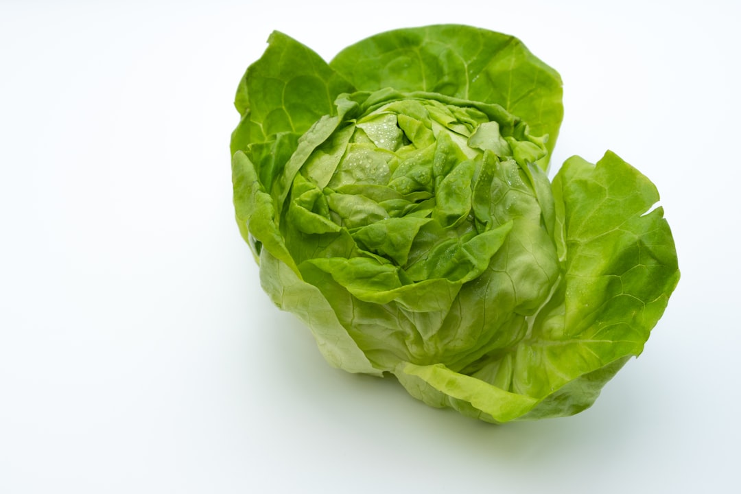 Understanding the Cyclospora Outbreak Linked to Iceberg Lettuce: What You Need to Know