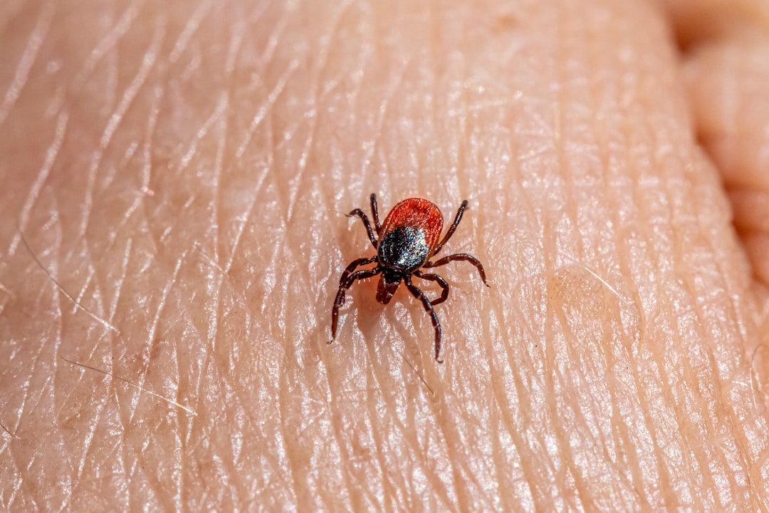 What You Need to Know About the New Tick-Borne Virus Discovered in China